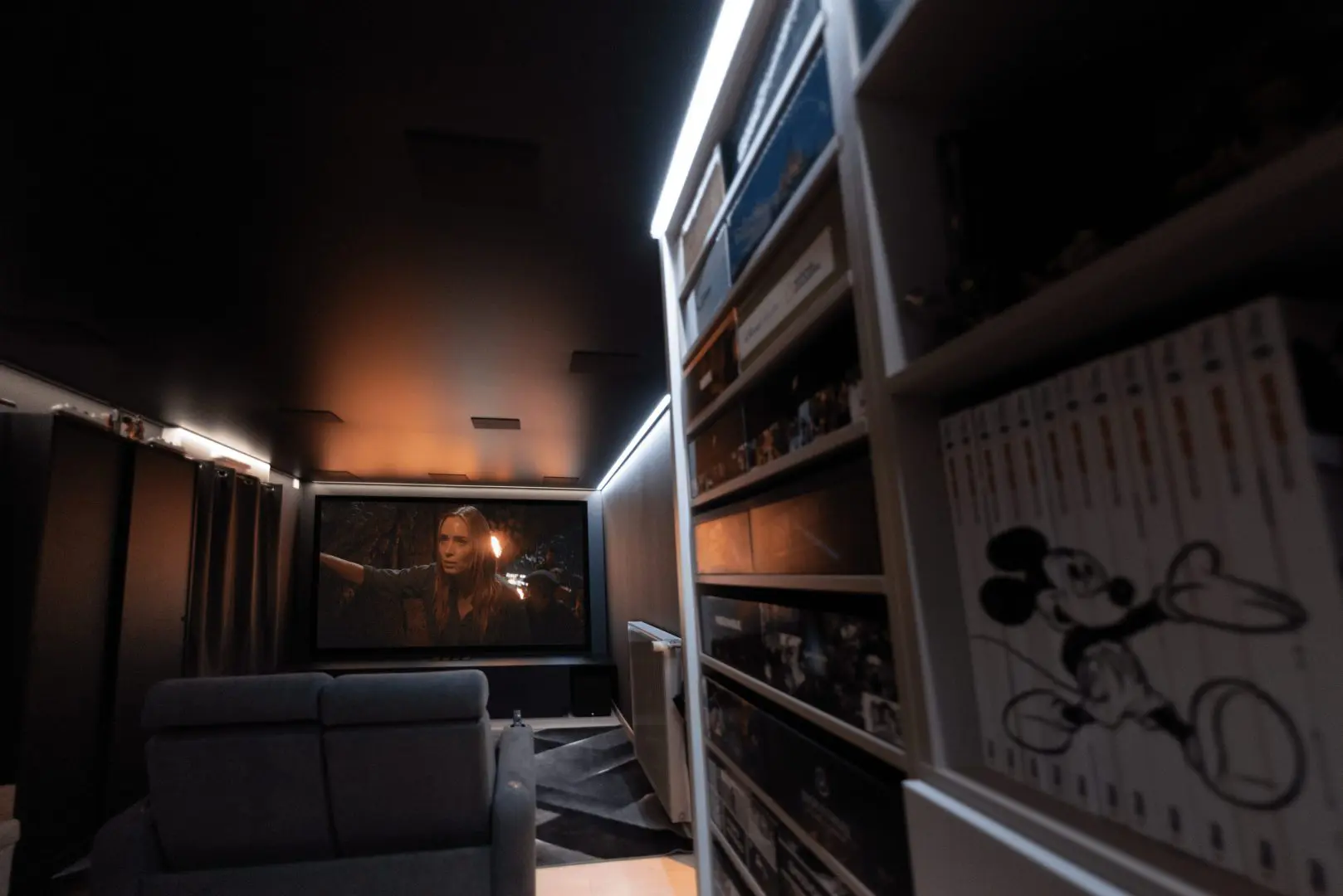 Salle de cinéma privée - 25m2
